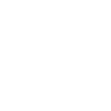 Country City Swing Logo
